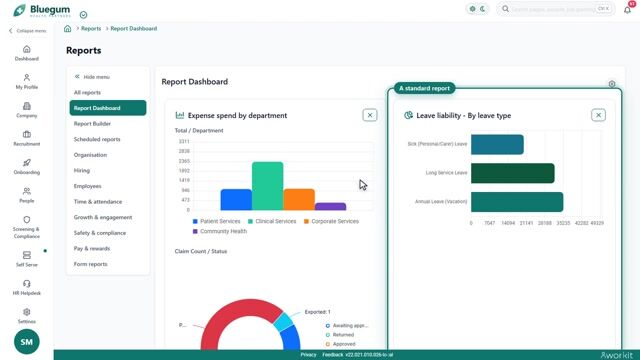 Preview frame of the Reporting video overview