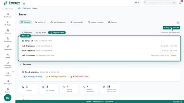 Preview frame of the Leave video overview